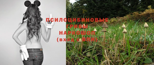 соль курить ск Абаза