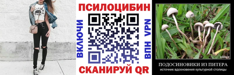 сколько стоит  Северодвинск  Псилоцибиновые грибы Cubensis 