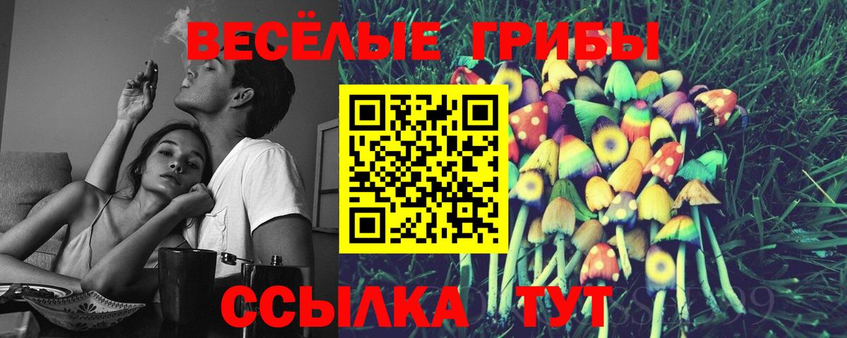Галлюциногенные грибы Cubensis Северодвинск